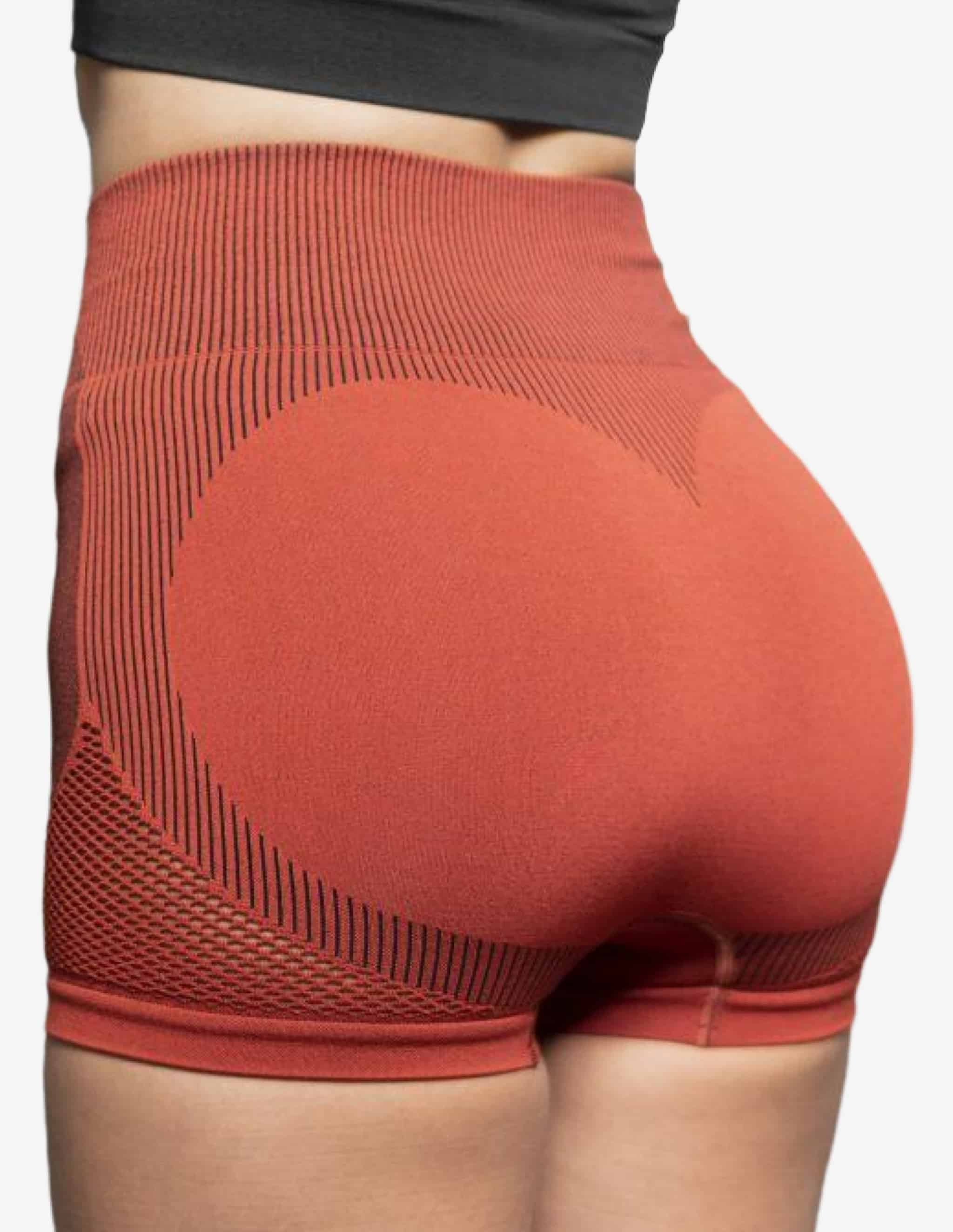 Aurora High Waist Seamless Shorts – Terra Rose-Shorts Woman-Body Engineers-Guru Muscle