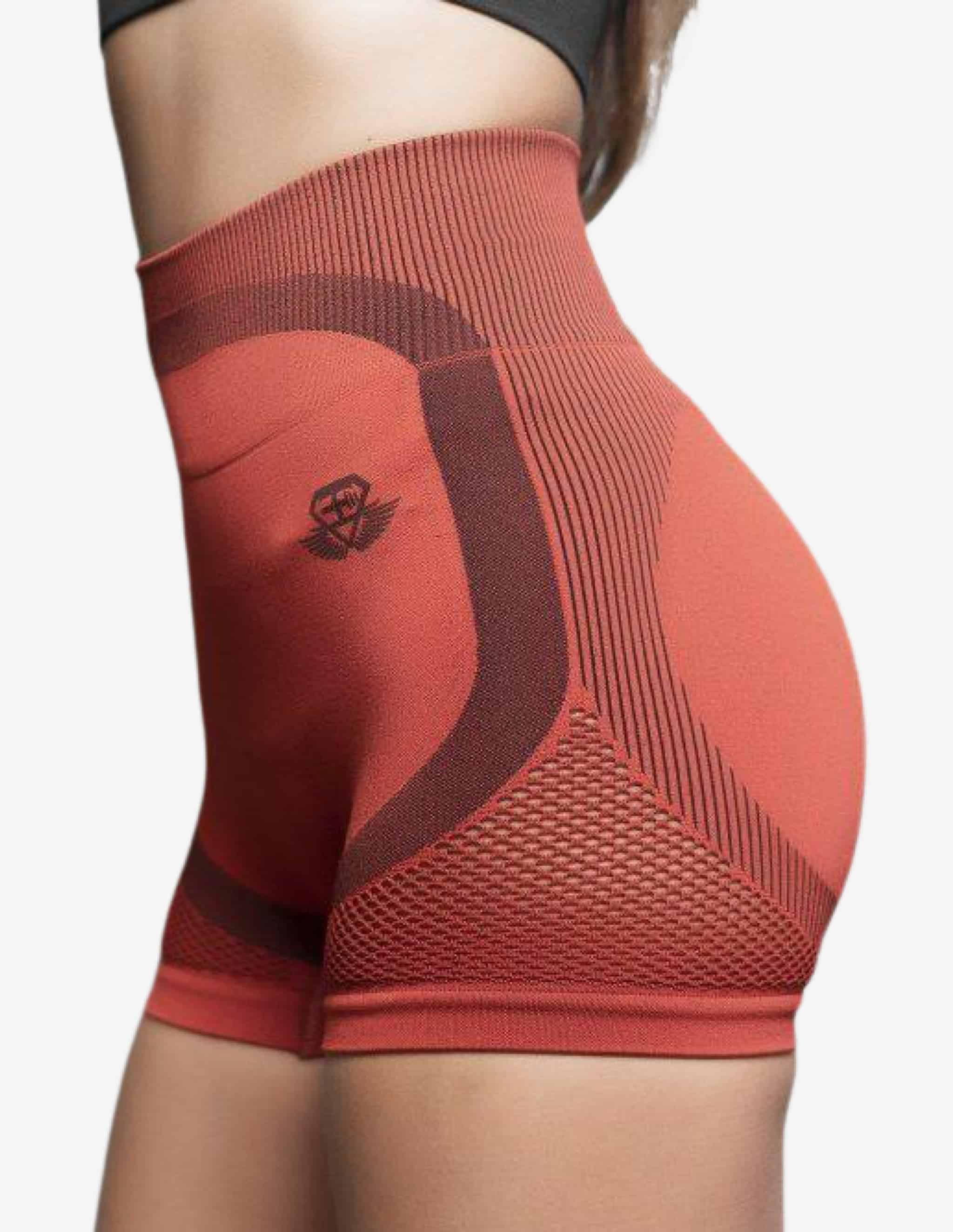 Aurora High Waist Seamless Shorts – Terra Rose-Shorts Woman-Body Engineers-Guru Muscle