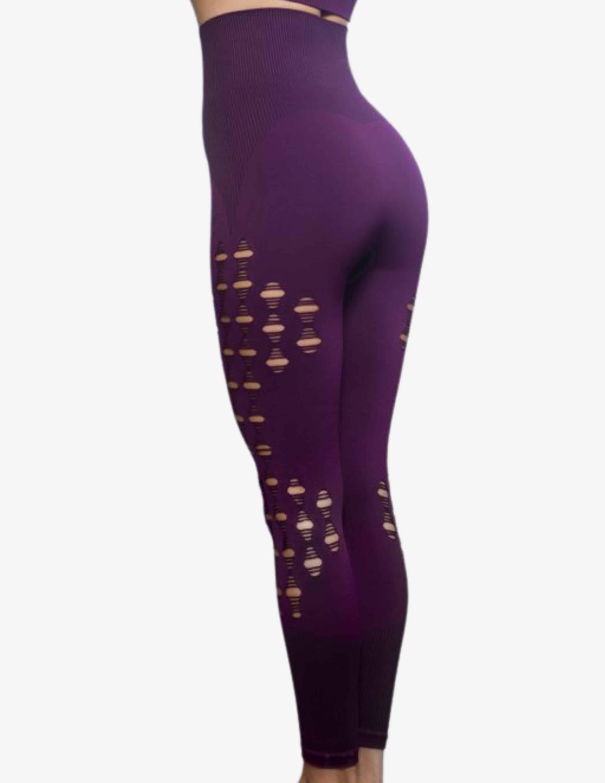 BIA Seamless Legging High Waist – Purper-Leggings-Body Engineers-Guru Muscle