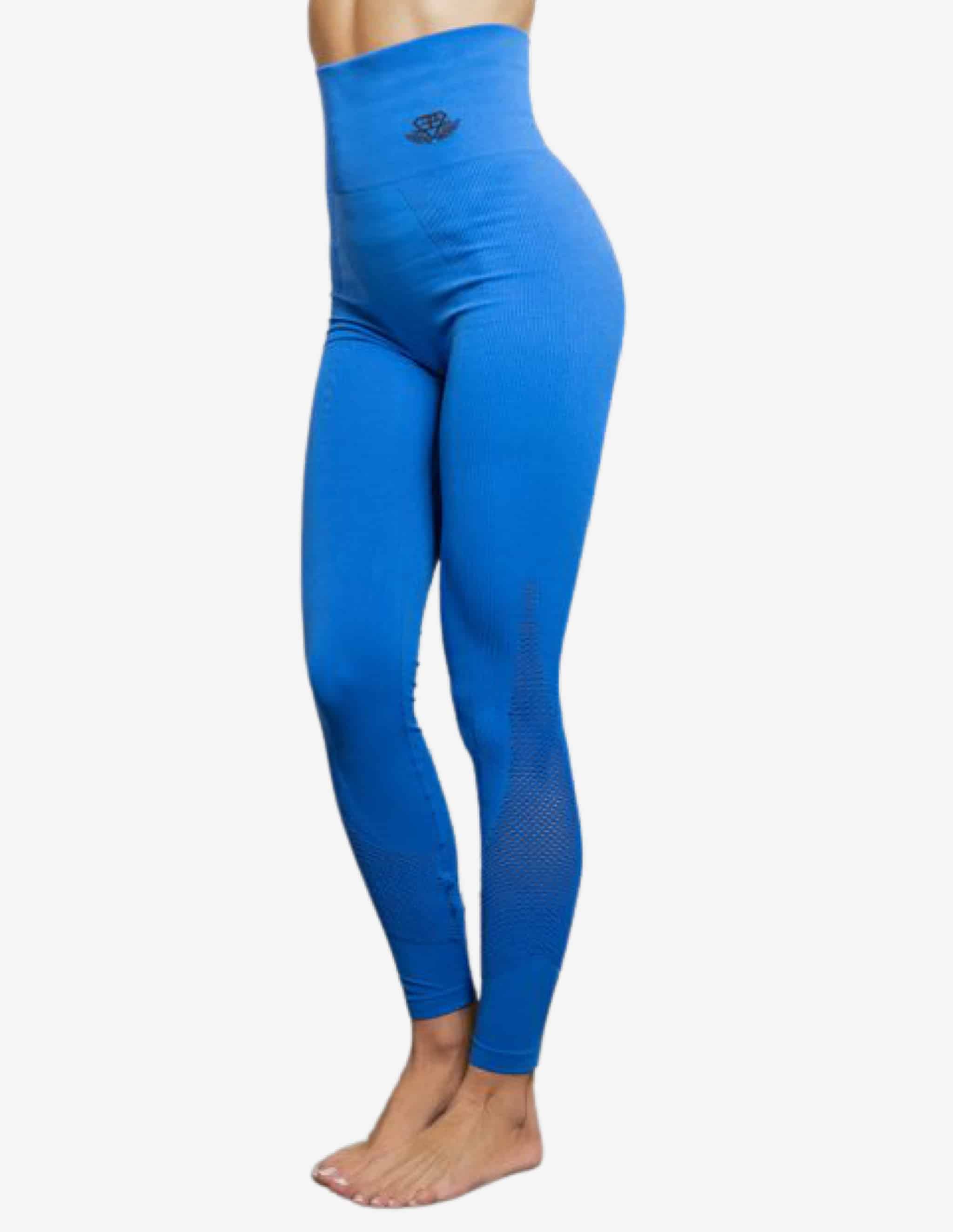 Curvus Seamless Legging High Waist – BLUE-Leggings-Body Engineers-Guru Muscle